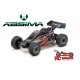 1:24 2WD Racing Buggy "X Racer" RTR with ESP